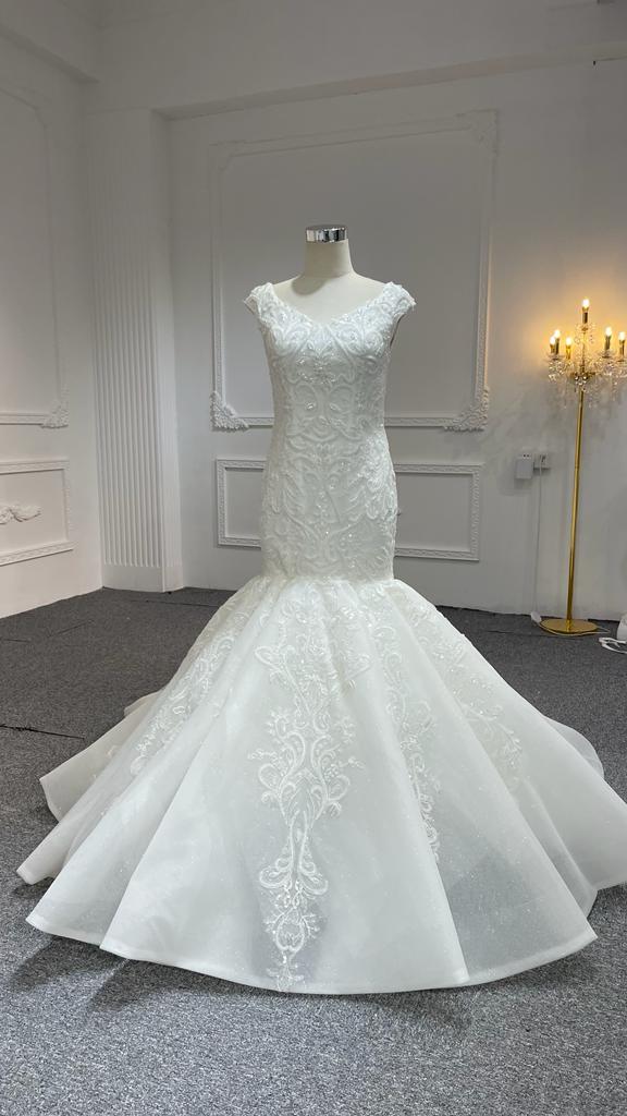 Plus Size Lace Mermaid Dress with Court Train