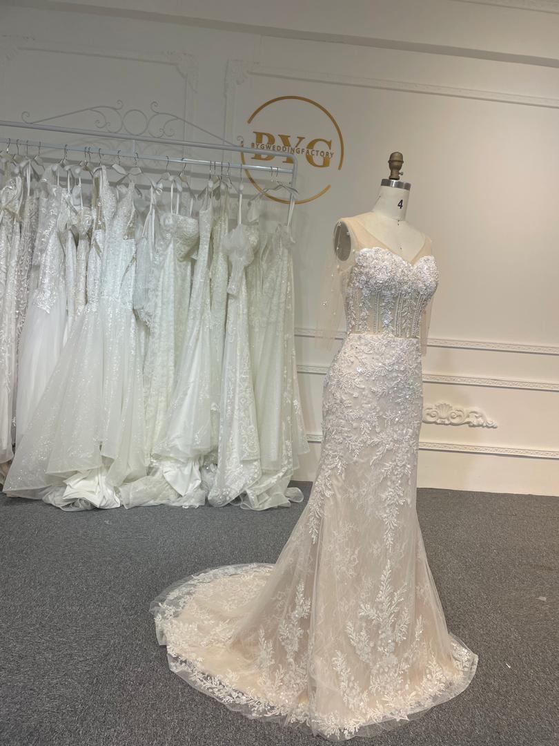 Plus Size V-Neck Mermaid Lace Wedding Dress