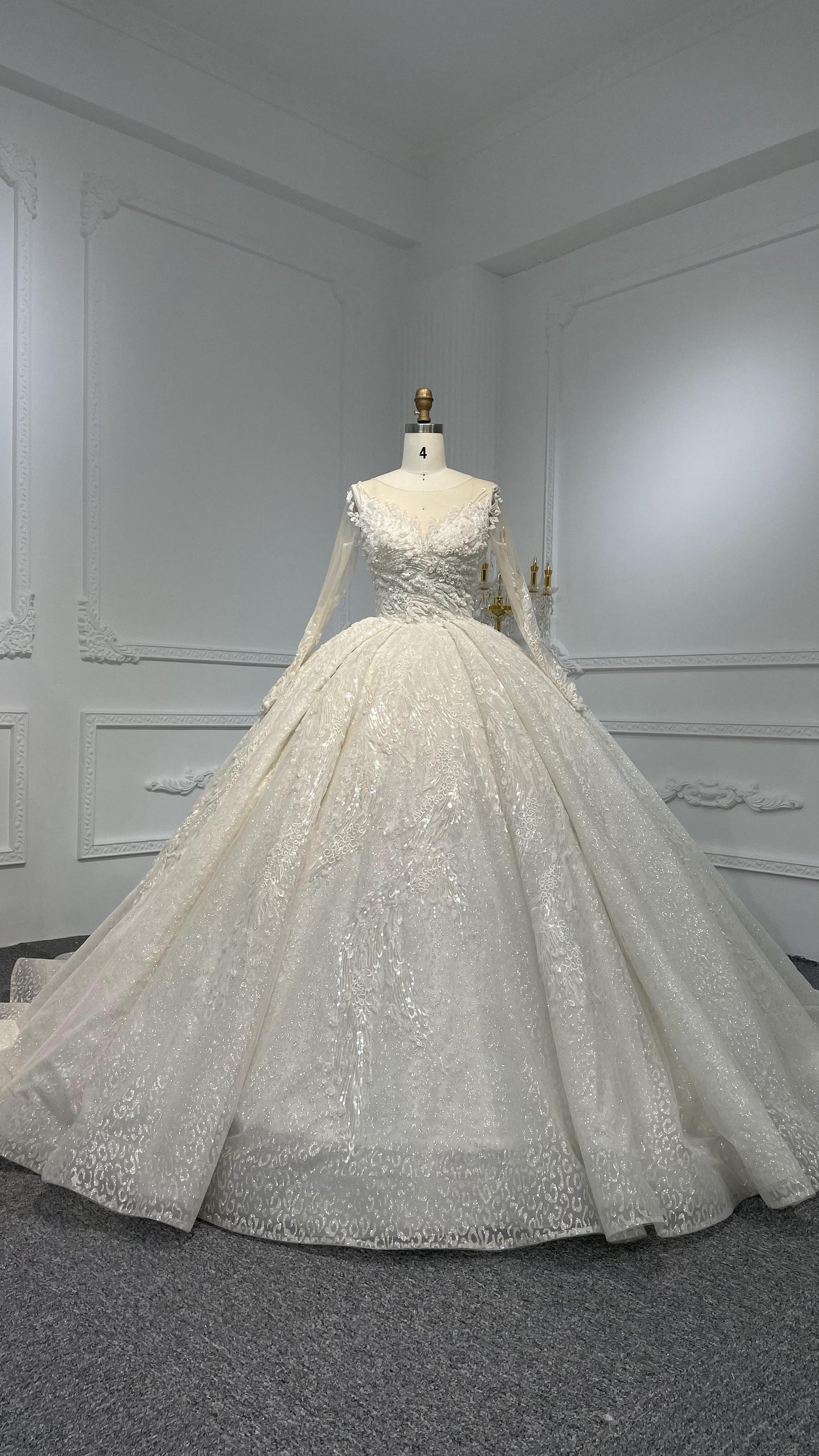 Plus Size Luxury Ball Gown with Beaded Neckline