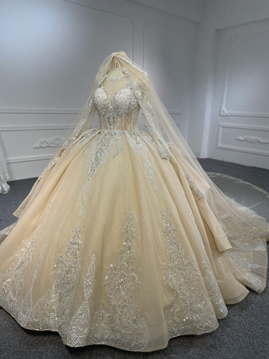 Plus Size Lace Ballgown Long Sleeve Dress