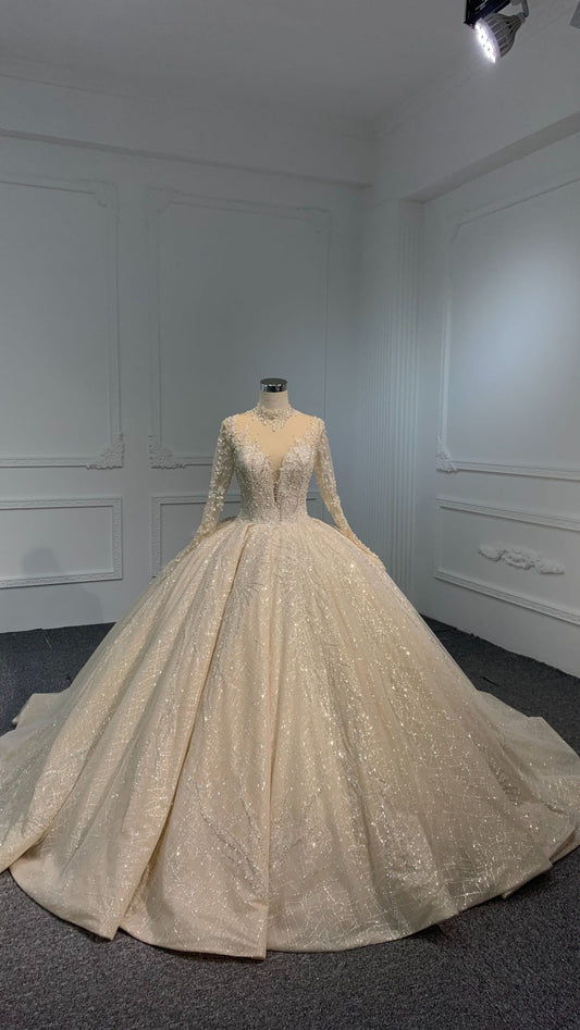 Plus Size Champagne Ball Gown with Long Sleeves