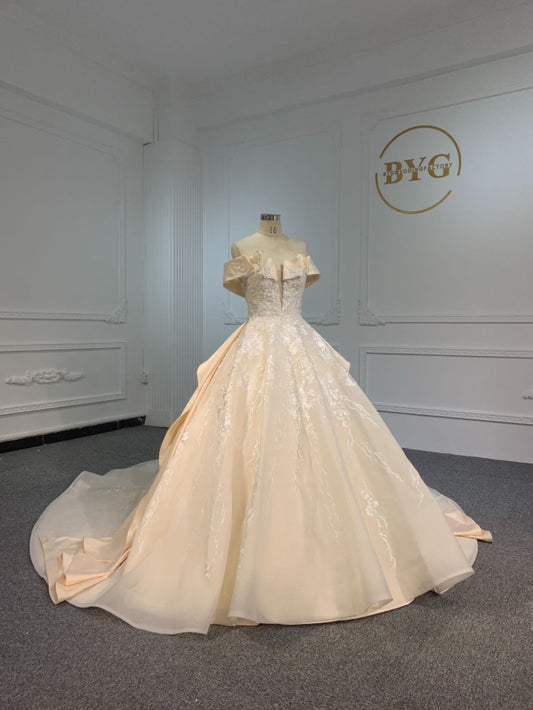 Plus Size Champagne Luxury Ball Gown Wedding Dress