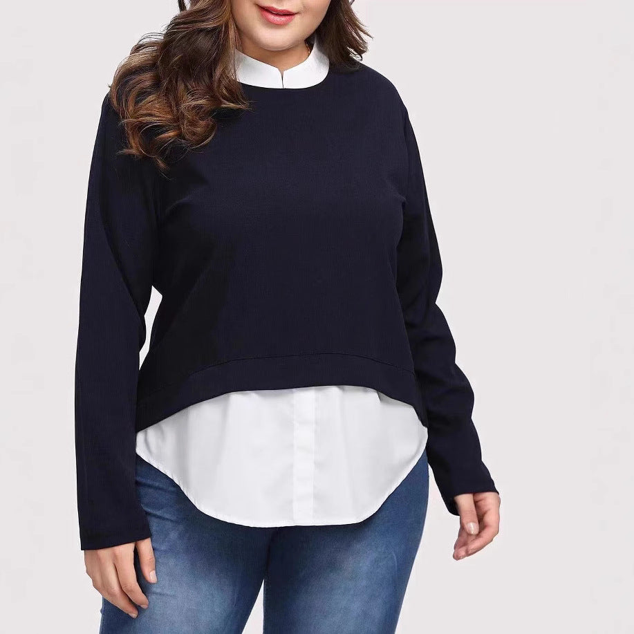 Plus Size Color Block Long Sleeve Sweatshirt Top