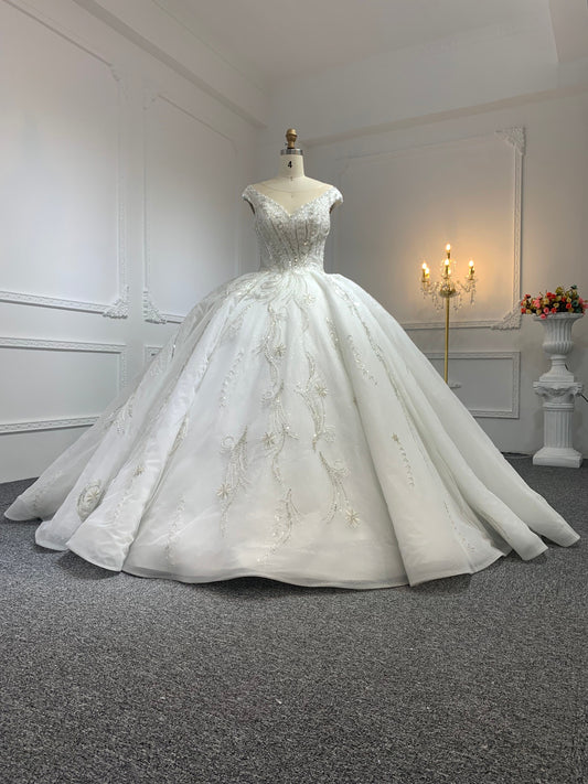 Plus Size Luxury Ball Gown Short Sleeves