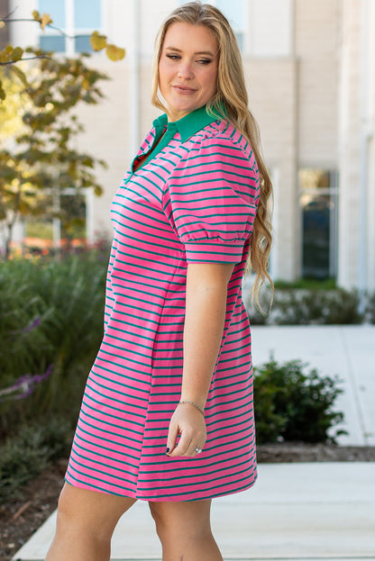 Plus Size Striped V Neck Puff Sleeve Shift Dress with Pockets - Plus Size XL-4XL - View 5