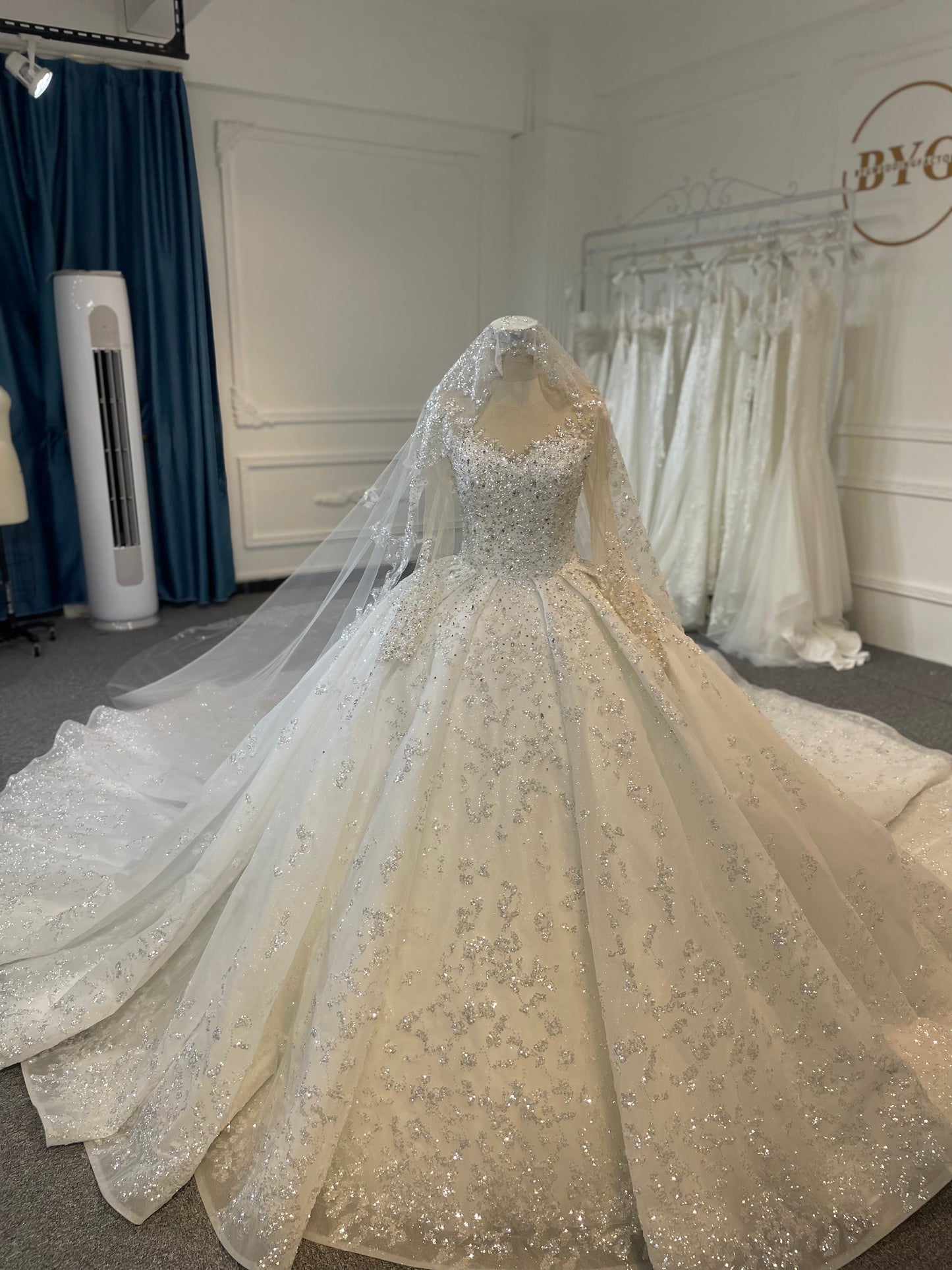 Plus Size Ball Gown Wedding Dress with Long Sleeves