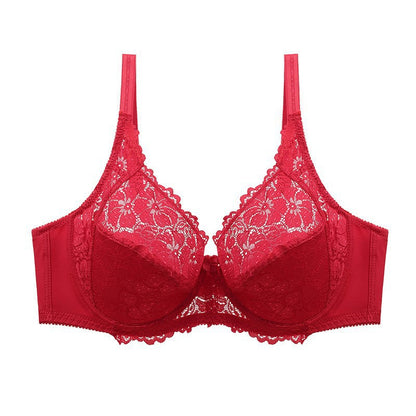 Plus Size Lace 3/4 Cup Bra - Plus Size XL-4XL - View 9