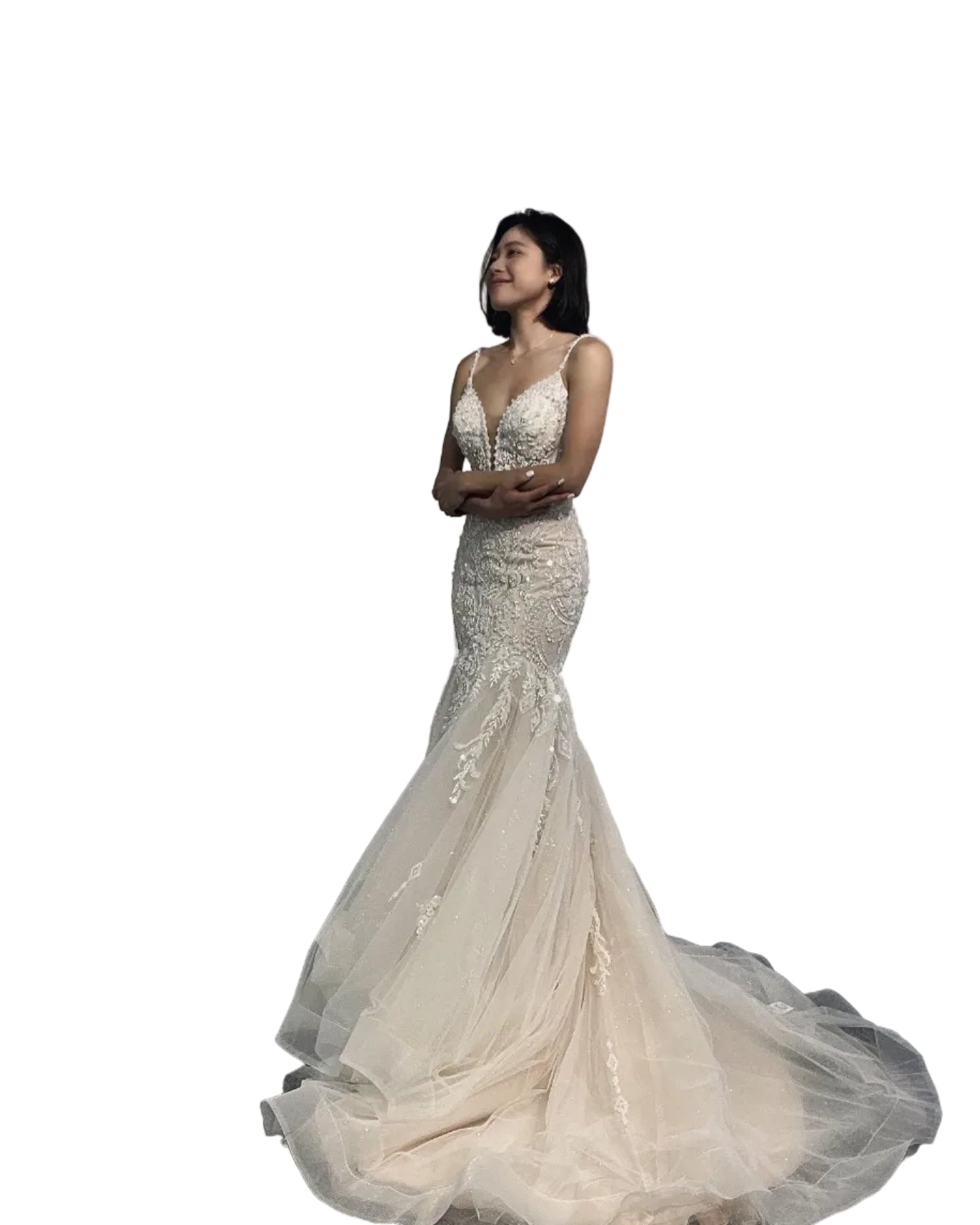 Heavy beading Lace nude color mermaid dress - Plus Size Clothing