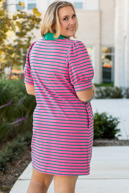 Plus Size Striped V Neck Puff Sleeve Shift Dress with Pockets - Plus Size XL-4XL - View 2