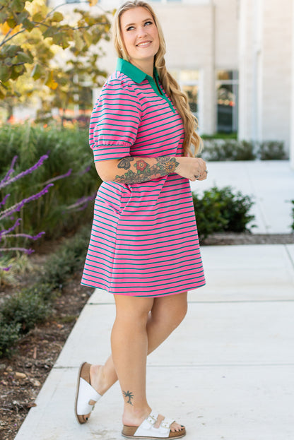 Plus Size Striped V Neck Puff Sleeve Shift Dress with Pockets - Plus Size XL-4XL - View 6