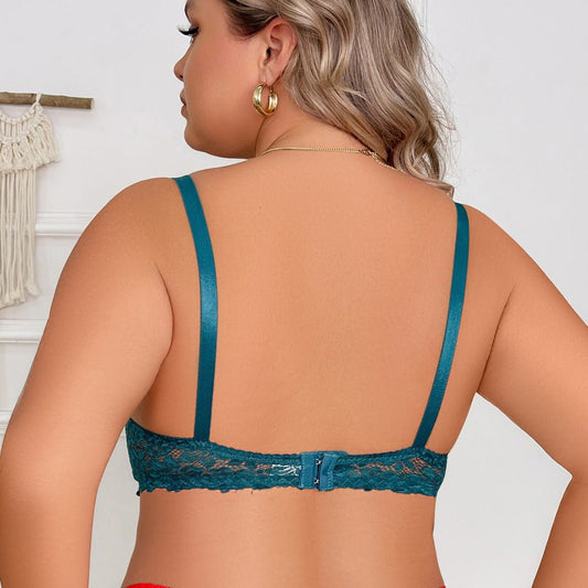 Plus Size Ultra Thin Lace Bra Comfortable Lingerie - Plus Size XL-4XL - View 2