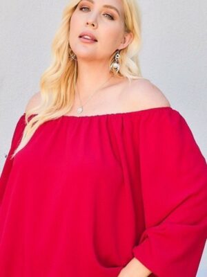 Off Shoulder Long Bubble Sleeve Solid Top Tops